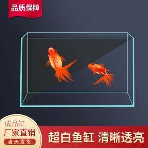 大魚缸要多少錢一個：大魚缸價格一般多少？