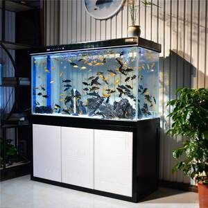 超白魚缸價格多少錢一個：超白魚缸價格一般多少錢？