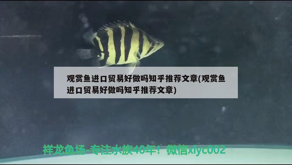 錦州魚缸批發市場地址 魚缸百科 第2張 錦州魚缸批發市場地址 錦州魚缸批發市場地址 魚缸百科 第2張