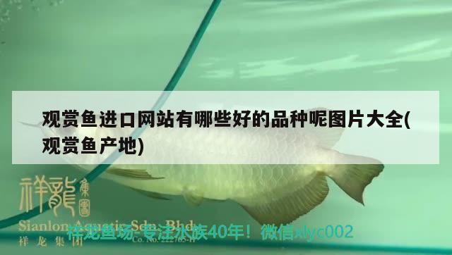 錦州魚缸批發市場地址 魚缸百科 第3張 錦州魚缸批發市場地址 錦州魚缸批發市場地址 魚缸百科 第3張