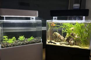 柳州魚缸批發市場在哪里進貨便宜些
