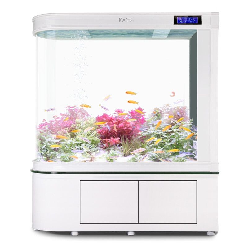 超白金晶魚缸價格多少錢一個：超白金晶魚缸價格
