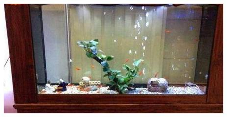 魚缸壁紙圖片大全高清（魚缸壁紙圖片大全高清無(wú)水印）