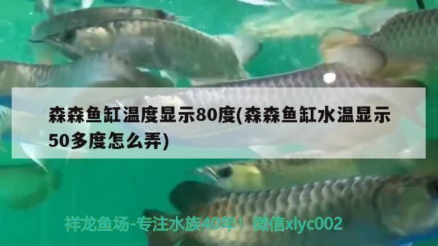 臨河區愛魚水族館（臨河區愛魚水族館電話）