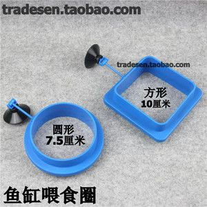 10cm銀龍魚需要多大魚缸養(yǎng)魚：10cm銀龍魚需要多大魚缸養(yǎng)魚需要多大魚缸養(yǎng)魚