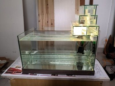 不用電的魚缸過濾系統：不用電的魚缸過濾系統可以通過以下幾種方式進行進行 不用電的魚缸過濾系統：不用電的魚缸過濾系統可以通過以下幾種方式進行進行 魚缸百科 第3張