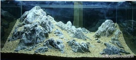 純石頭魚(yú)缸造景視頻：純石頭魚(yú)缸造景技巧了解如何選擇合適的石頭、水草