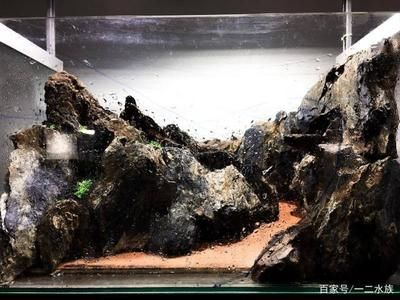 純石頭魚缸造景視頻：純石頭魚缸造景技巧了解如何選擇合適的石頭、水草