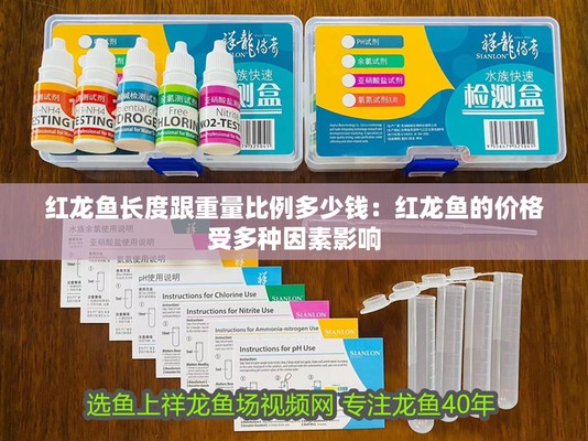 巴音郭楞蒙古自治州紅龍魚價格2688貴嗎？