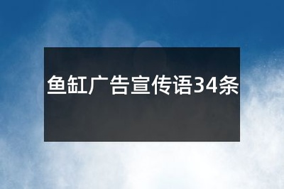 濟南金太陽水族裝飾經營部（濟南金太陽水族裝飾經營部地址）