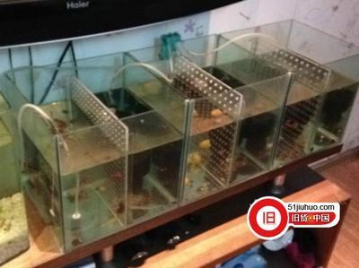 附近5公里二手魚缸舊貨市場