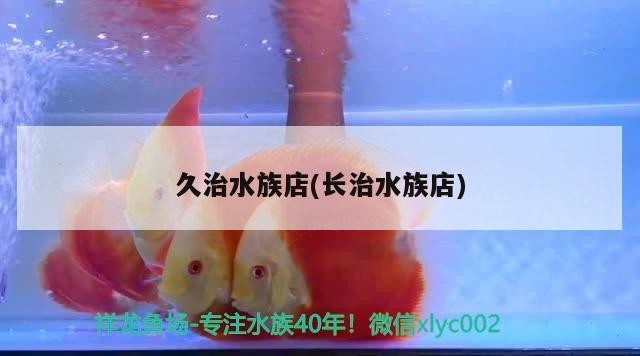 久治水族店(長治水族店) 久治水族店(長治水族店) 魟魚百科
