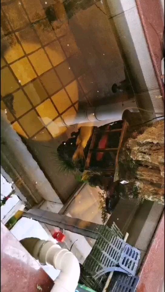 上手？我就差動(dòng)手了