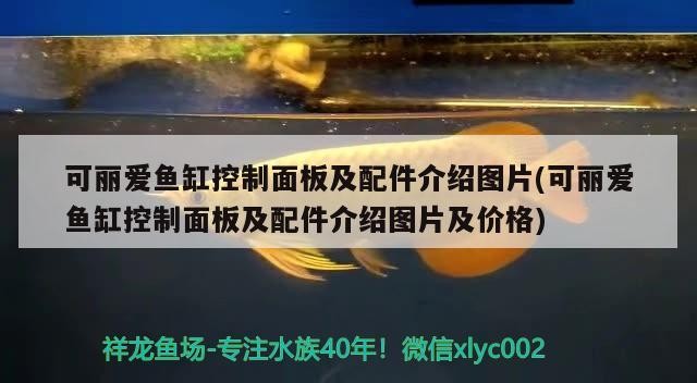 上手？我就差動(dòng)手了