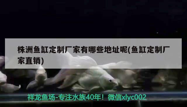 株洲魚缸定制廠家有哪些地址呢(魚缸定制廠家直銷)