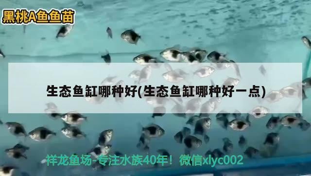 北京燕紅潘水族店（北京燕紅潘水族店地址） 北京燕紅潘水族店（北京燕紅潘水族店地址） 全國(guó)水族館企業(yè)名錄 第4張