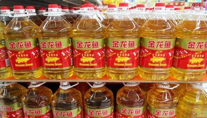 金龍魚哪個品牌好 金龍魚哪個品牌好 龍魚百科 第4張