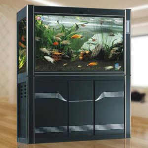 120 60 60魚缸承重：1206060的魚缸承重能力如何？