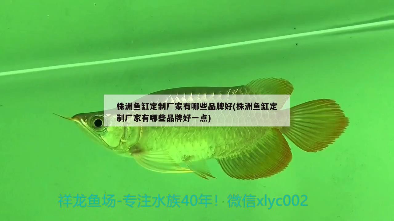<strong><mark>株洲</mark></strong>魚缸定制廠家有哪些品牌好(<strong><mark>株洲</mark></strong>魚缸定制廠家有哪些品牌好一點)