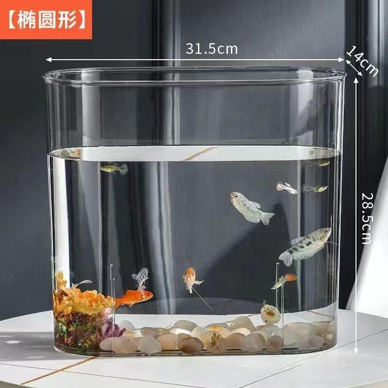 玻璃魚缸和塑料魚缸的區別：玻璃魚缸vs塑料魚缸vs塑料魚缸玻璃魚缸玻璃魚缸