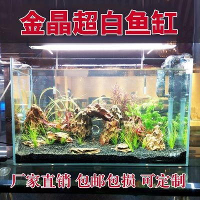 大型生態(tài)魚缸教學(xué)：生態(tài)魚缸的制作與保養(yǎng)