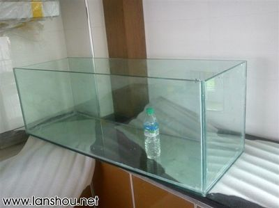 玻璃魚缸漏水怎么補好：玻璃魚缸漏水怎么辦 玻璃魚缸漏水怎么補好：玻璃魚缸漏水怎么辦 魚缸百科 第1張