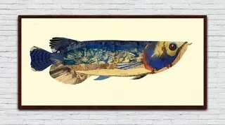 金龍魚大全圖片