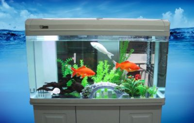 sunsun魚缸價格怎么調(diào)水溫：sunsun魚缸價格調(diào)整及水溫控制方法
