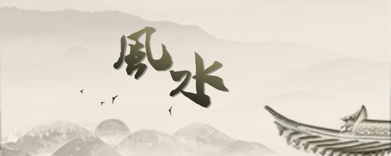 型水魚缸最忌三種東西 型水魚缸最忌三種東西 龍魚百科 第2張