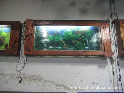 壁掛魚缸養什么魚好：壁掛魚缸適合養什么魚？