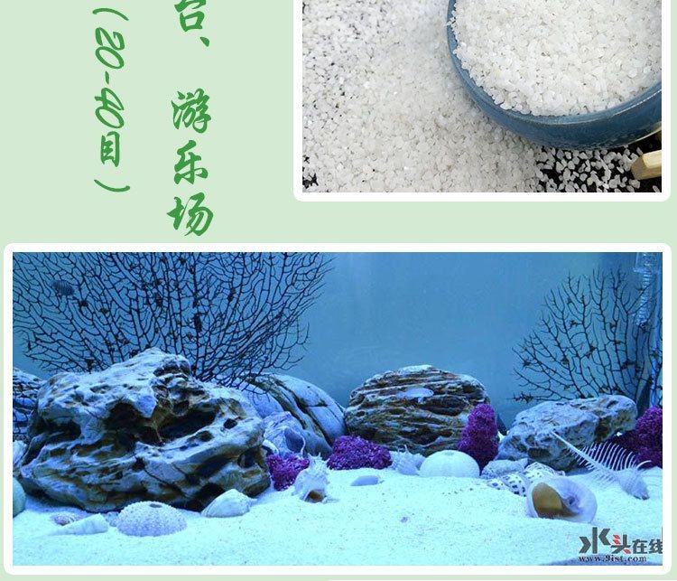 祥龍魚場是否提供丹頂錦鯉，祥龍魚場丹頂錦鯉的價格范圍