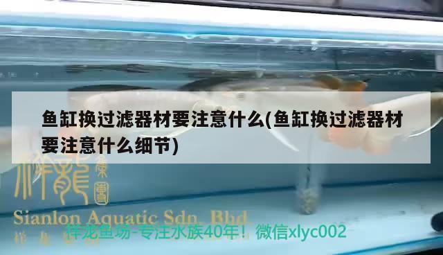 魚缸換過濾器材要注意什么(魚缸換過濾器材要注意什么細節)