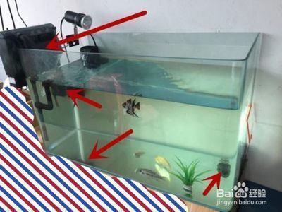 濟南哪里有定做魚缸的廠家（濟南哪里有定做魚缸的廠家電話）
