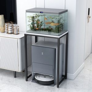 動森魚缸怎么收起來：《動物之森》如何收納魚缸
