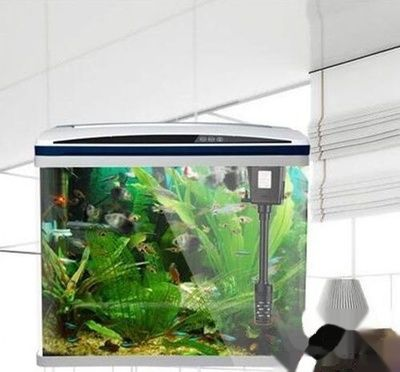 1米2的魚缸能養(yǎng)錦鯉魚25公分多少條：1米2的魚缸可以養(yǎng)6到15條錦鯉魚25公分多少條 1米2的魚缸能養(yǎng)錦鯉魚25公分多少條：1米2的魚缸可以養(yǎng)6到15條錦鯉魚25公分多少條 魚缸百科 第3張