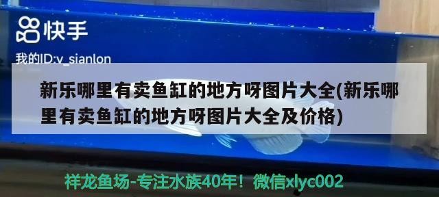 新樂哪里有賣魚缸的地方呀圖片大全(新樂哪里有賣魚缸的地方呀圖片大全及價格)