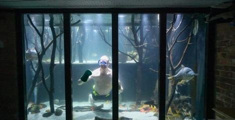 哈爾濱市香坊區萬慧水族館（哈爾濱市香坊區萬慧水族館電話）