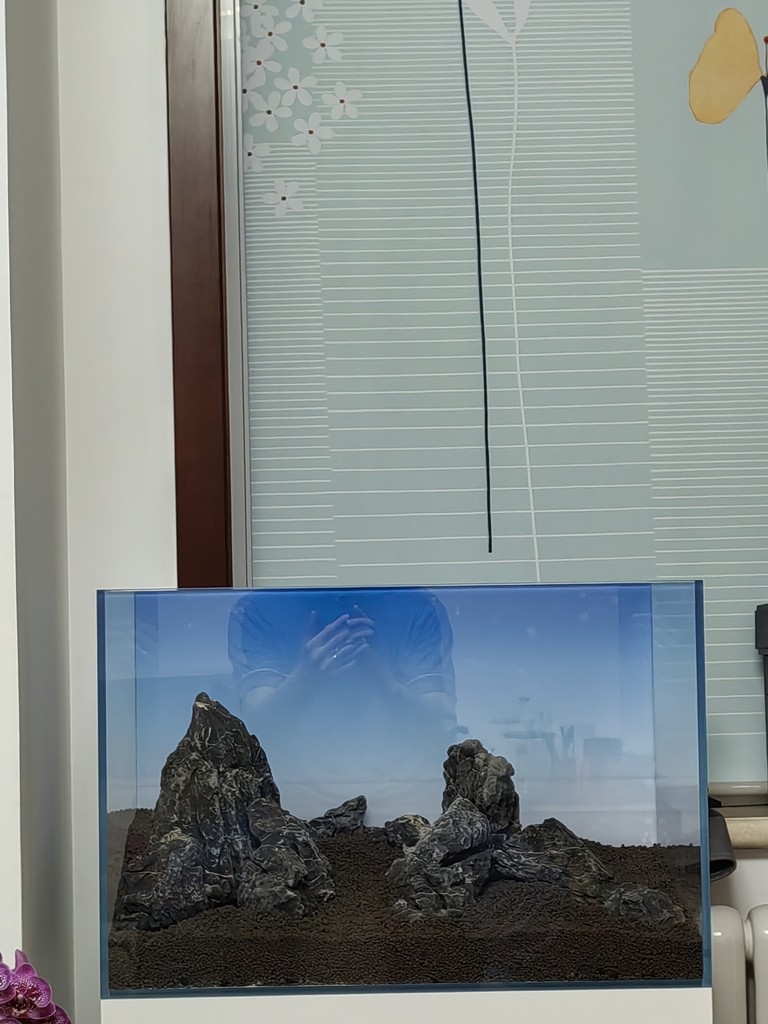兄弟們，開缸大吉！！