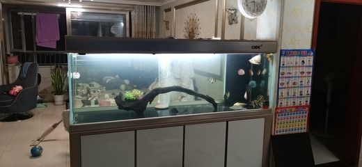 廈門市思明區魚喜園水族館（廈門市思明區魚喜園水族館地址） 廈門市思明區魚喜園水族館（廈門市思明區魚喜園水族館地址） 全國水族館企業名錄 第2張