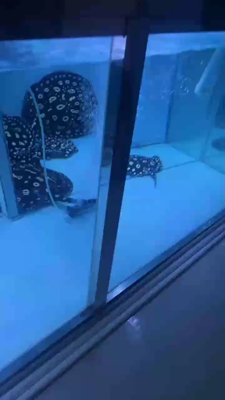 三點一線工作?
