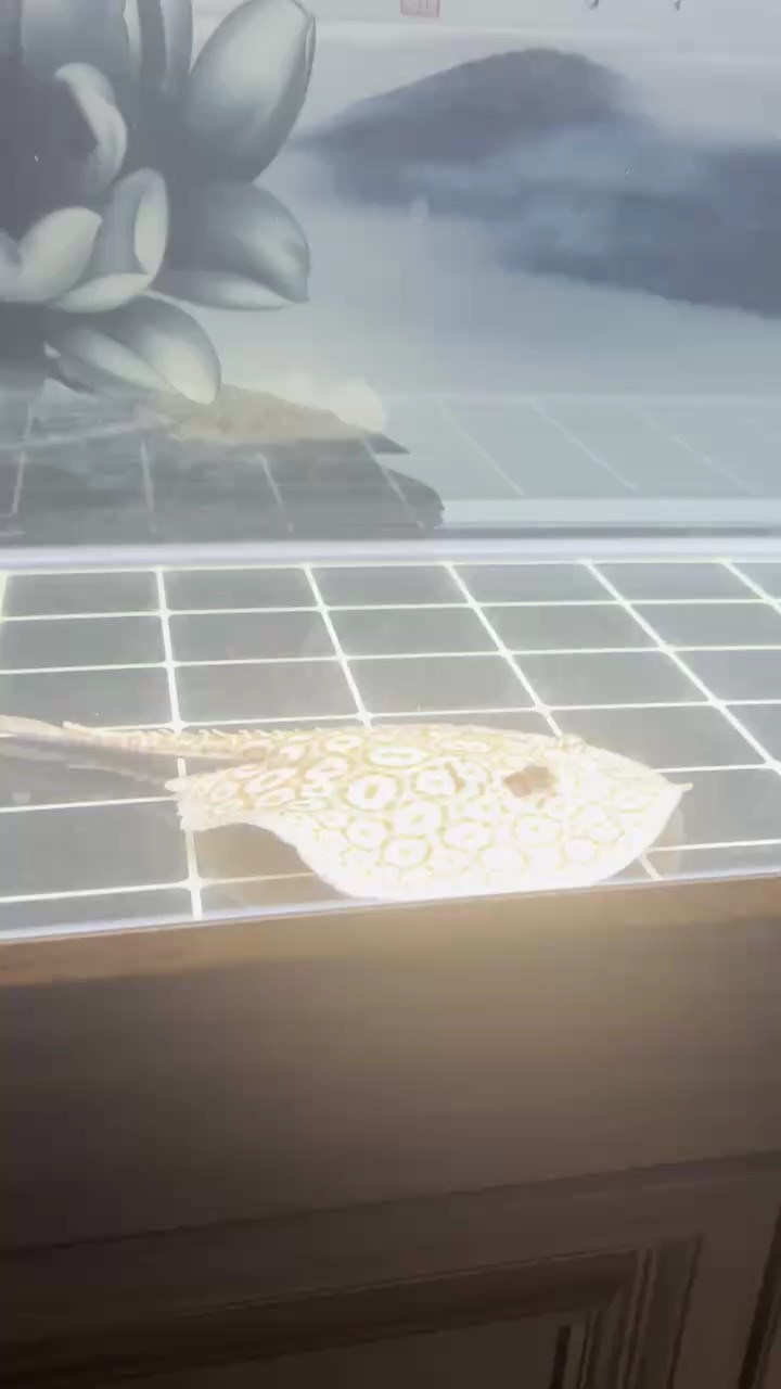 翹邊翹嘴怎么解決