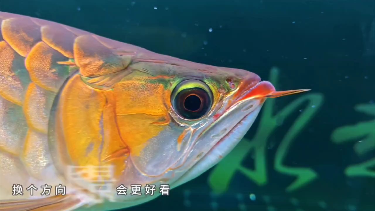 好久沒拍了，欣賞一下
