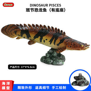 阜平龍魚的市場價格波動大嗎，阜平龍魚市場價格波動情況，阜平龍魚市場價格波動大嗎