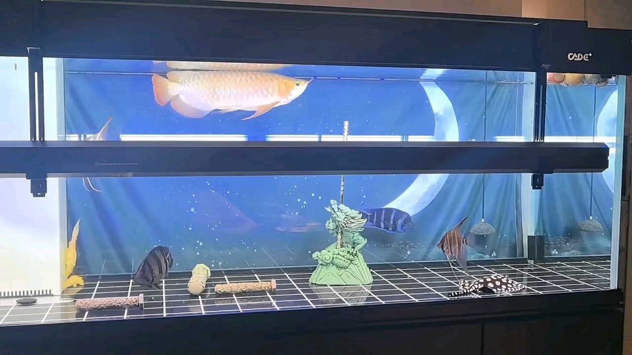 陪伴是最簡單的幸福