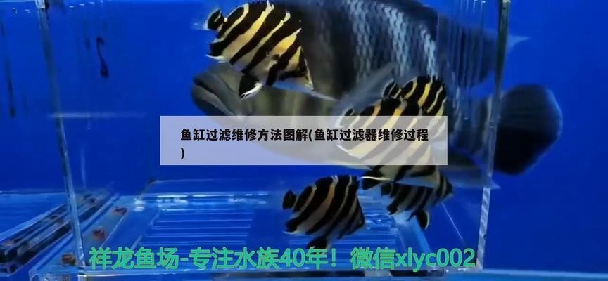 天元區(qū)超凡水族館（天元區(qū)超凡水族館地址）