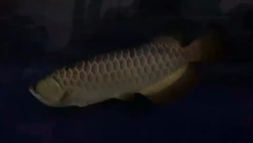 天氣冷了