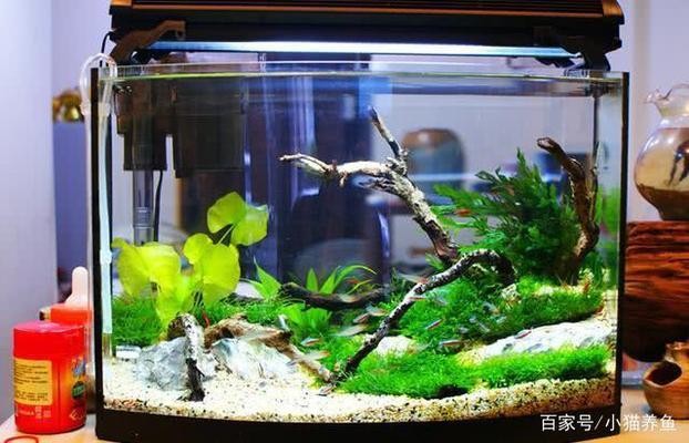 水族世界（睿美水族世界） 水族世界（睿美水族世界） 全國水族館企業名錄 第2張