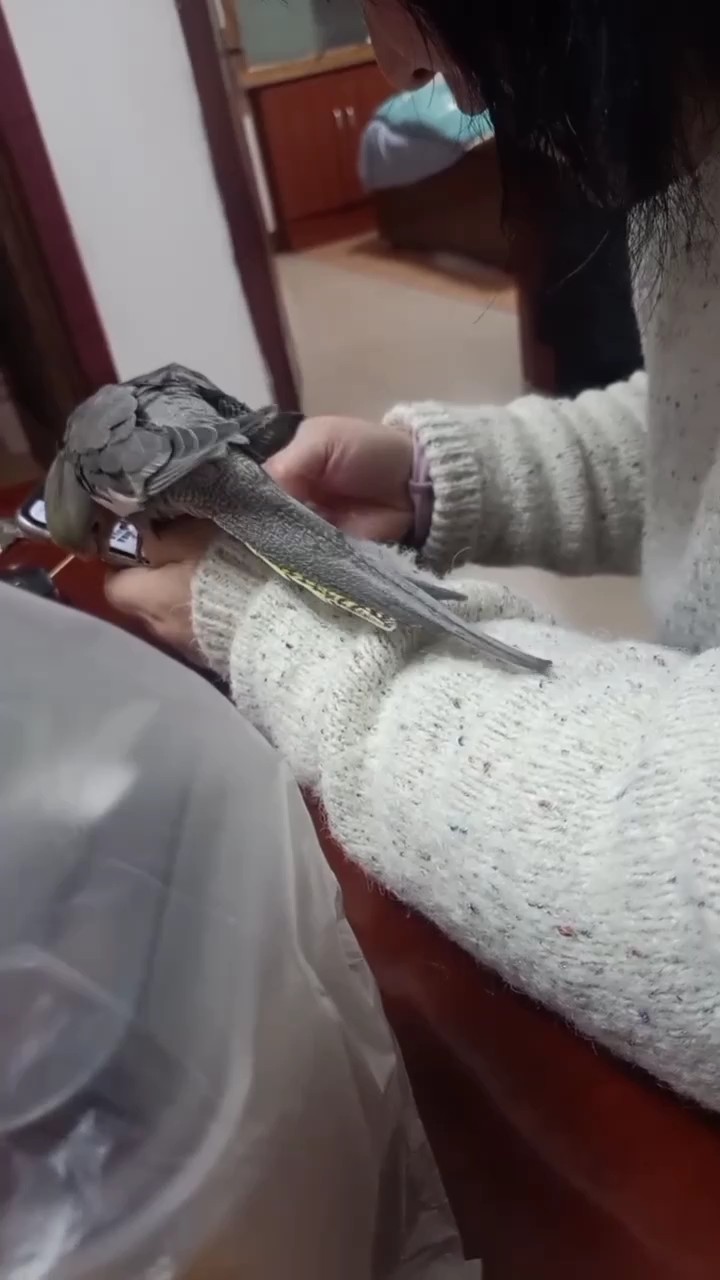 就喜歡手機殼子