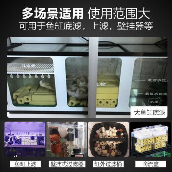 大慶市薩爾圖區丁爽水族館（大慶市薩爾圖區丁爽水族館電話） 大慶市薩爾圖區丁爽水族館（大慶市薩爾圖區丁爽水族館電話） 全國水族館企業名錄 第2張