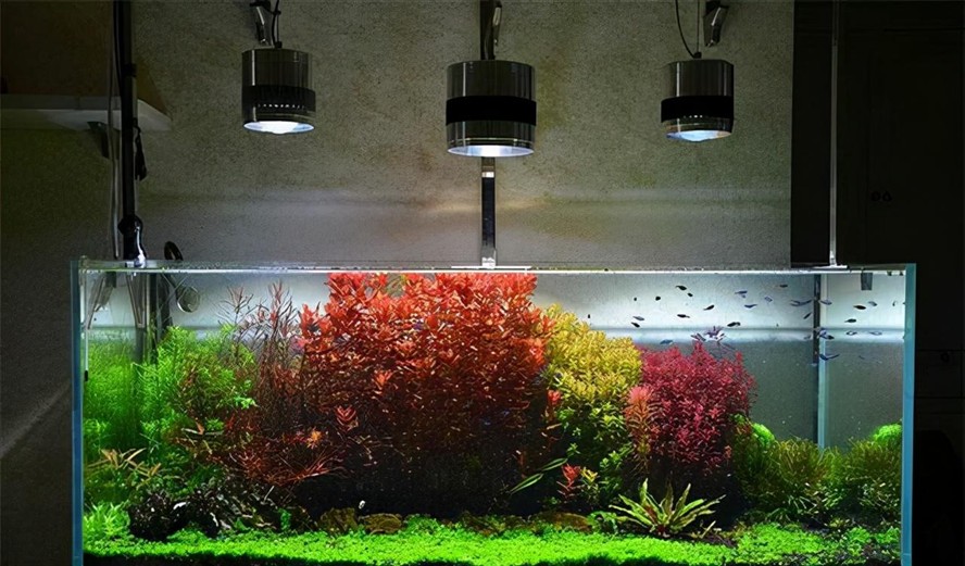 天水魚缸清理方法圖片大全
